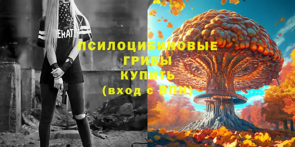 дмт Алзамай