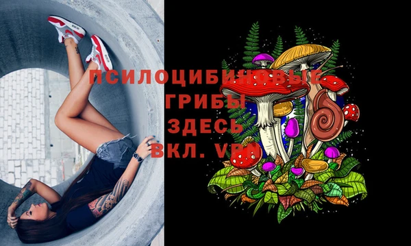соль ск Алексеевка