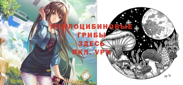 стафф Алексин