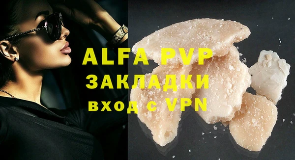 стафф Алексин